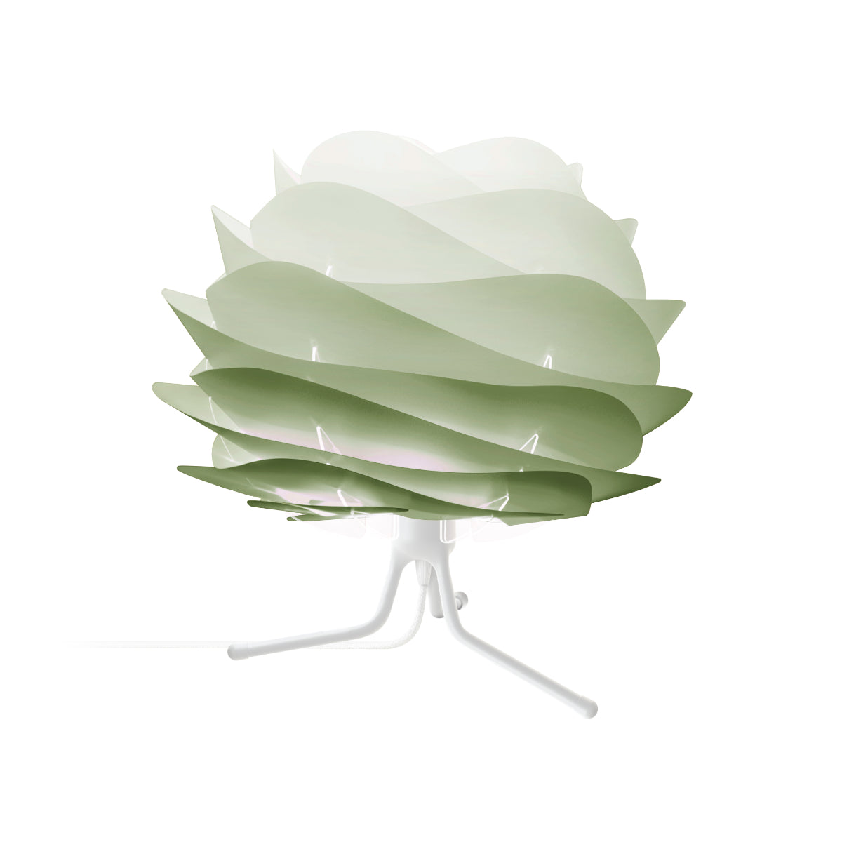 CARMINA Amazonas-Tischlampe