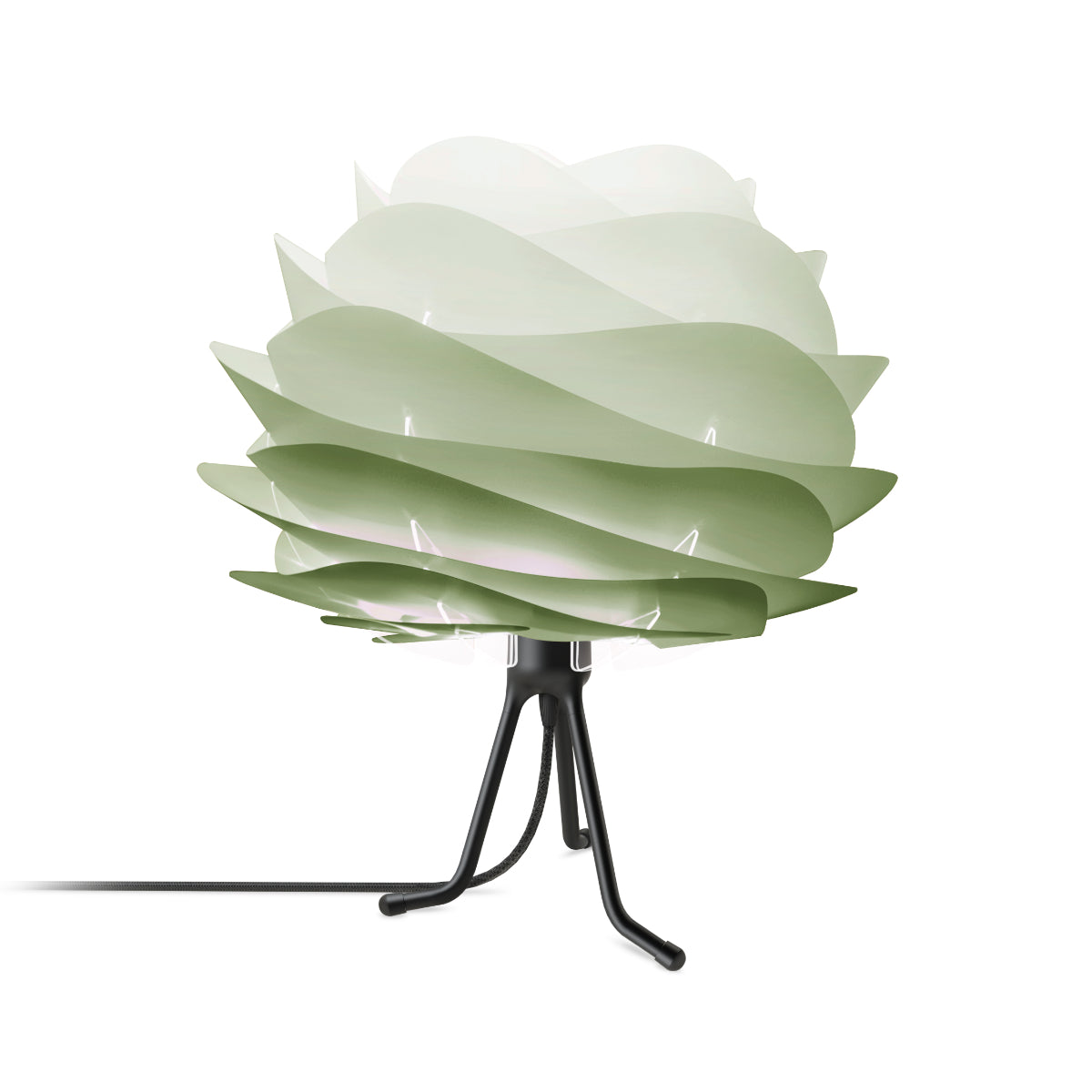 CARMINA Amazonas-Tischlampe