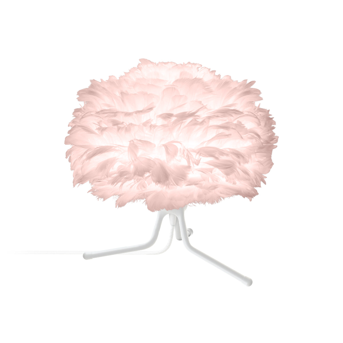 EOS Light Rose Tischlampe