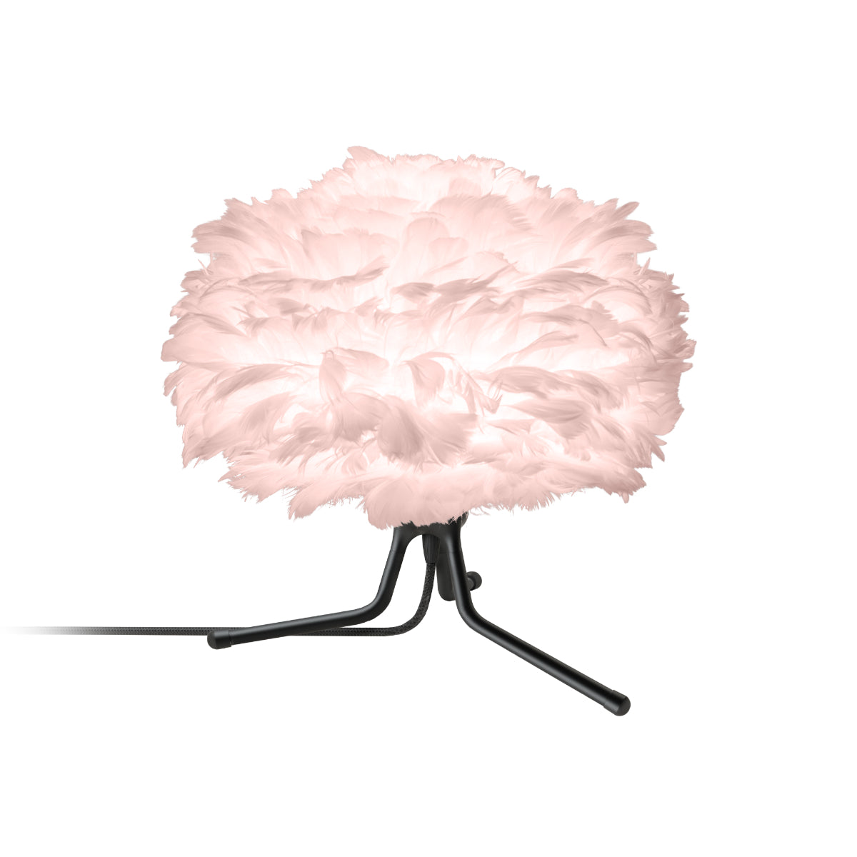 EOS Light Rose Tischlampe