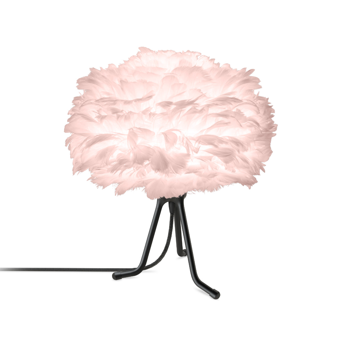 EOS Light Rose Tischlampe